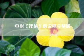 电影《误杀》解说稿完整版