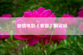 剧情电影《素媛》解说稿