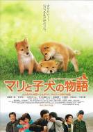 剧情《爱犬的奇迹》电影解说文案