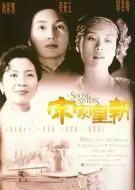 剧情《宋家皇朝》电影解说文案（宋家皇朝剧本）