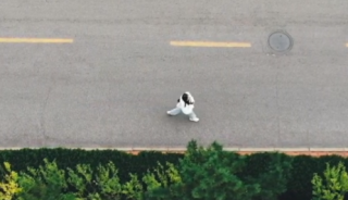 剧情短片《无名之辈》解说文案