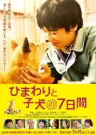 剧情《向日葵与幼犬的7天》电影解说文案/解说素材