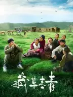 剧情电影《藏草青青》解说文案/解说素材
