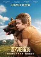 剧情电影《忠犬帕尔玛》解说文案
