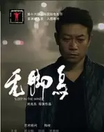 剧情电影《无脚鸟》解说文案/解说素材