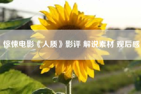 惊悚电影《人质》影评 解说素材 观后感
