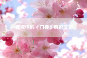 惊悚电影《门锁》解说文案
