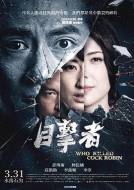 悬疑《目击者之追凶》电影解说文案