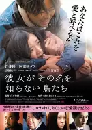 悬疑电影《她不知道名字的那些鸟儿》解说文案 解说素材