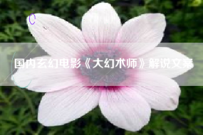 国内玄幻电影《大幻术师》解说文案