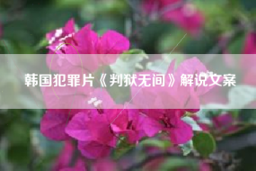 韩国犯罪片《判狱无间》解说文案