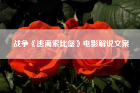 战争《逃离索比堡》电影解说文案