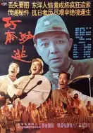 战争电影《巧奔妙逃》解说文案/解说素材
