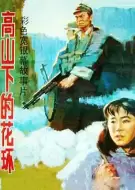 战争电影《高山下的花环》解说文案 解说素材