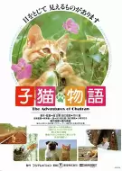 冒险电影《子猫物语》解说文案