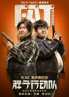 动作电影《胖子行动队》解说文案/片源素材