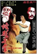 动作电影《蛇形刁手》解说文案 解说素材