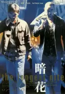 动作电影《暗花》解说文案/解说素材