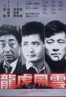 动作电影《龙虎风云》解说文案