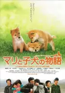 剧情电影《爱犬的奇迹》解说文案