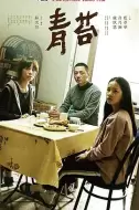剧情电影《青苔》解说文案