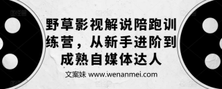 【视频课程】影视解说陪跑训练营，从新手进阶到成熟自媒体达人