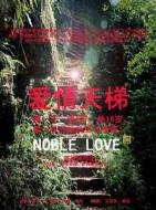 爱情电影《爱情天梯》解说文案