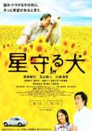 剧情《星守之犬》电影解说文案 观后感