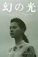 剧情《幻之光》电影解说文案