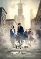 奇幻冒险电影《神奇动物在哪里》解说文案