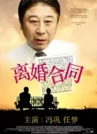 剧情电影《离婚合同》解说文案