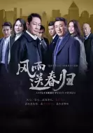 剧情电视剧《风雨送春归》40集电视剧解说文案 解说素材