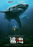 惊悚《鲨海》电影解说文案