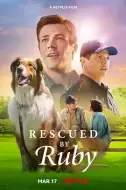 剧情片《义犬救主》电影解说文案