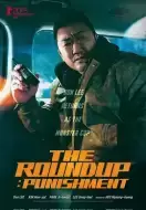 动作犯罪《犯罪都市4》电影解说文案