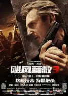 动作惊悚《飓风营救3》电影解说文案